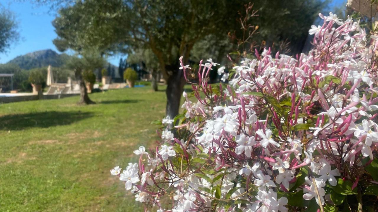 Agroturisme Son Cardaix Artà Exterior foto